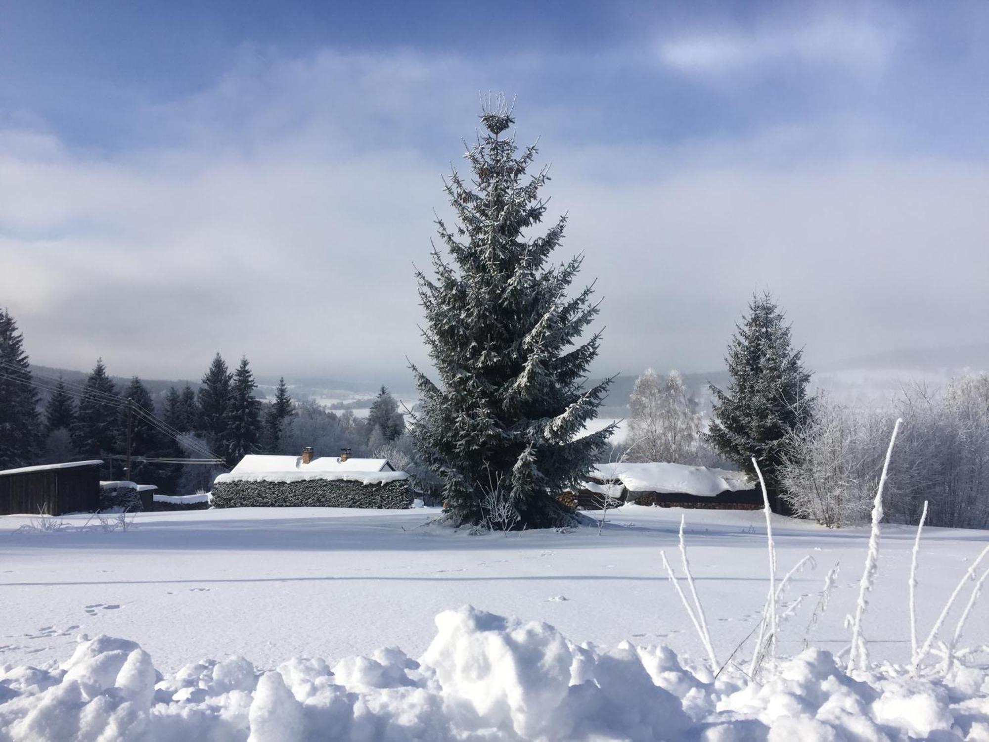 Apartmany Hajovna Lipno Loucovice Bagian luar foto
