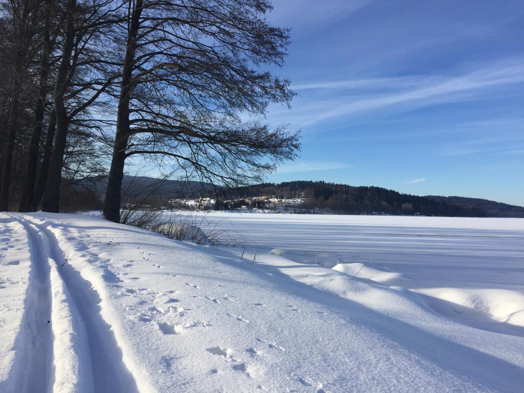 Apartmany Hajovna Lipno Loucovice Bagian luar foto