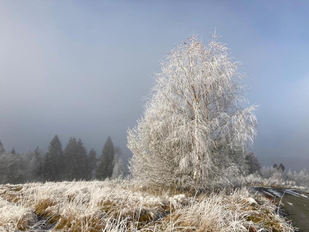 Apartmany Hajovna Lipno Loucovice Bagian luar foto