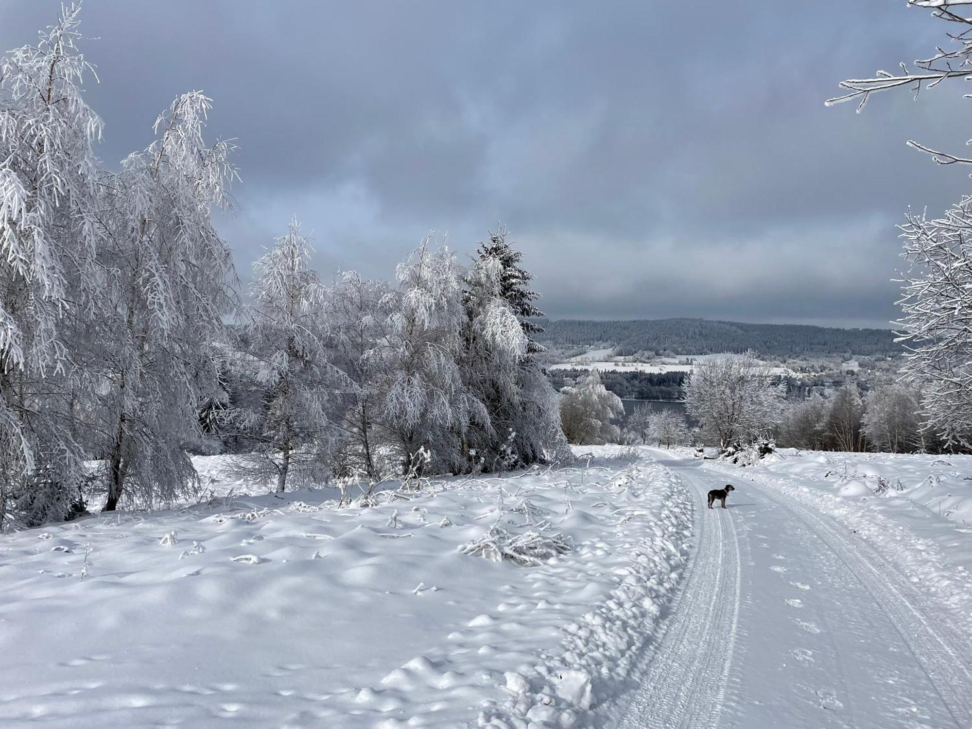 Apartmany Hajovna Lipno Loucovice Bagian luar foto